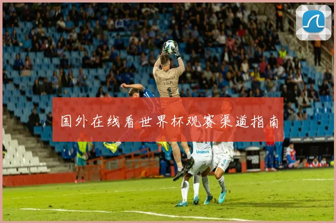 国外在线看世界杯观赛渠道指南