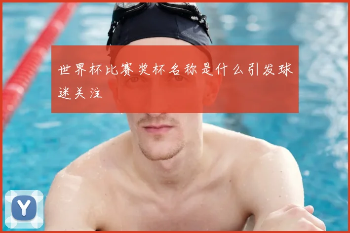 世界杯比赛奖杯名称是什么引发球迷关注