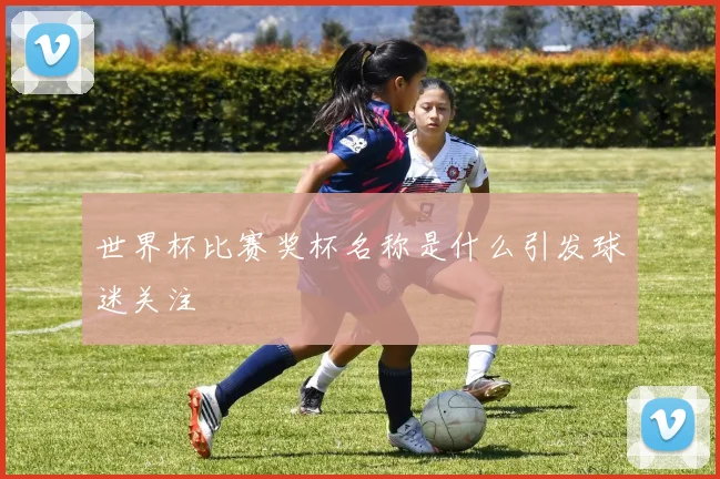世界杯比赛奖杯名称是什么引发球迷关注
