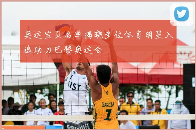 奥运宝贝名单揭晓多位体育明星入选助力巴黎奥运会