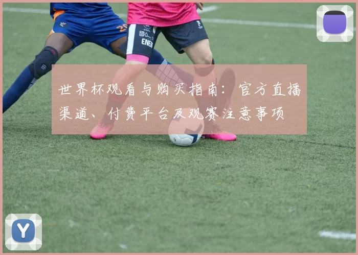 世界杯观看与购买指南：官方直播渠道、付费平台及观赛注意事项