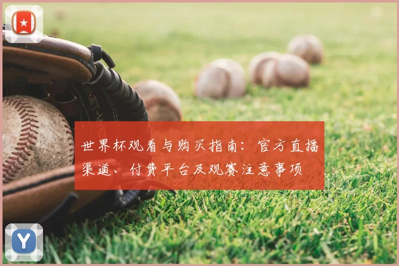 世界杯观看与购买指南：官方直播渠道、付费平台及观赛注意事项