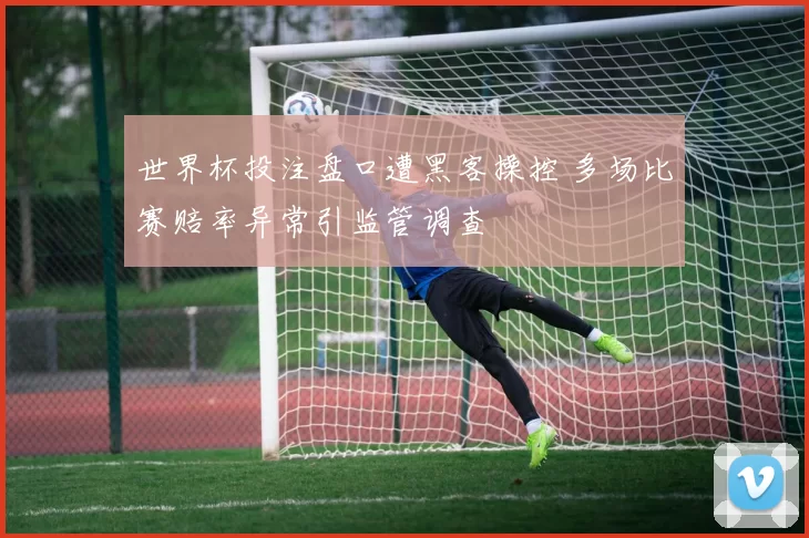 世界杯投注盘口遭黑客操控 多场比赛赔率异常引监管调查